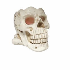 Lighted Smoking Skull