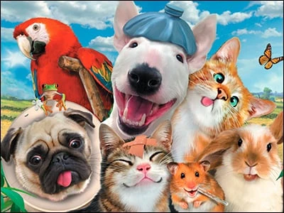 Get Well Card - Get Well Selfie 3 Get Well Card - Get Well Selfie