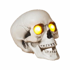 Lighted Halloween Skull With Sound
