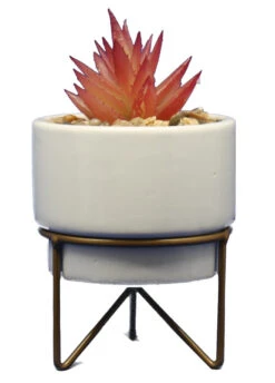Potted Succulent On Metal Stand - -Christmas Decoration Store cwfjc3ihrrsvhhrthry5