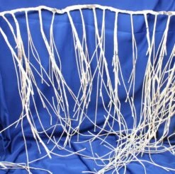 Birch Look Led Garland