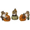 Harvest Gnome On A Gourd - -Christmas Decoration Store exz93clsa2wjgx78hjg3