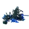 Kurt Adler 50-Light 5mm Blue LED Green Wire Light Set -Christmas Decoration Store foiaucd7gkf8tj4lyfrv