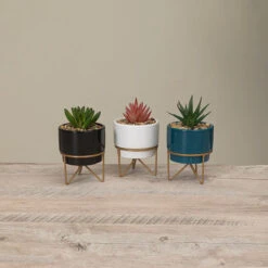 Potted Succulent On Metal Stand - -Christmas Decoration Store hzuwndbhkvyupni90ptm