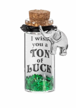 Message In A Bottle Bracelet -