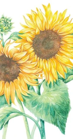 Ideal Home Range Mirasol (White) - Cocktail Napkin -Christmas Decoration Store ifqtzc1po2nbfzyojlrz