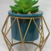 Potted Artificial Succulent With Metal Stand - -Christmas Decoration Store ixvd54rh9qat3rnq5ziu