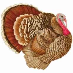 Diecut Turkey Paper Placemat - Set Of 12