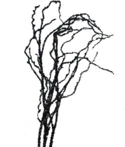 Black Glitter Branch