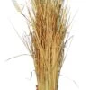 Raffia Table Stack - Cattail -Christmas Decoration Store kv7frpcshunghkky8eyo