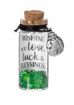 Message In A Bottle Bracelet - -Christmas Decoration Store kvrequzwse3zvgvh2qlv