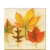 Paper Cocktail Napkin - Autumn Leaves - Cream -Christmas Decoration Store kzwuen5ricotpkpfmqj3