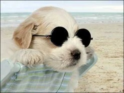 Birthday Card - Cooler By The Minute