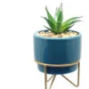 Potted Succulent On Metal Stand - -Christmas Decoration Store lpo5ud3koxjg6oe3xrng