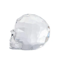 Acrylic Skull - Clear -Christmas Decoration Store mcgloeybpdipbatktddb