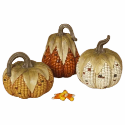 Corn On The Cob Style Pumpkin -