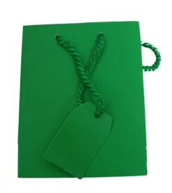 Small Tote - Green