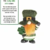 Lucky Little Irish Gnome -Christmas Decoration Store n12byqlio1nlh8yteshy