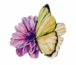 Butterfly Screen Saver - -Christmas Decoration Store op5gw7prxjakgkingpwg