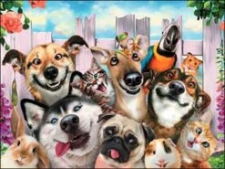 Birthday Card - Pet Selfie