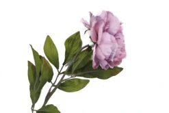 Everyday Longstem Peony Glitter - Lavender - 26 Inch -Christmas Decoration Store q9s6vaghpzpqkhv5uvhk