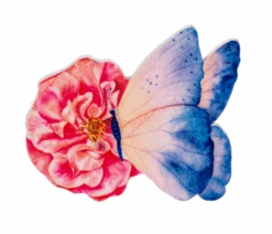 Butterfly Screen Saver - -Christmas Decoration Store qsqhjayogzovvbwmvund