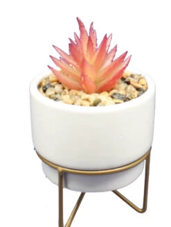 Potted Succulent On Metal Stand - -Christmas Decoration Store uior459gddpibrladjb0