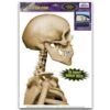 Skeleton Car Cling -Christmas Decoration Store vzcrjlzh4jtbh6xhixii