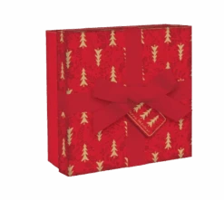 Square Giftbox With Ribbon - -Christmas Decoration Store xzduaadpznghfbtfytwo