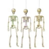 Lighted Skeleton With Moving Eyes -